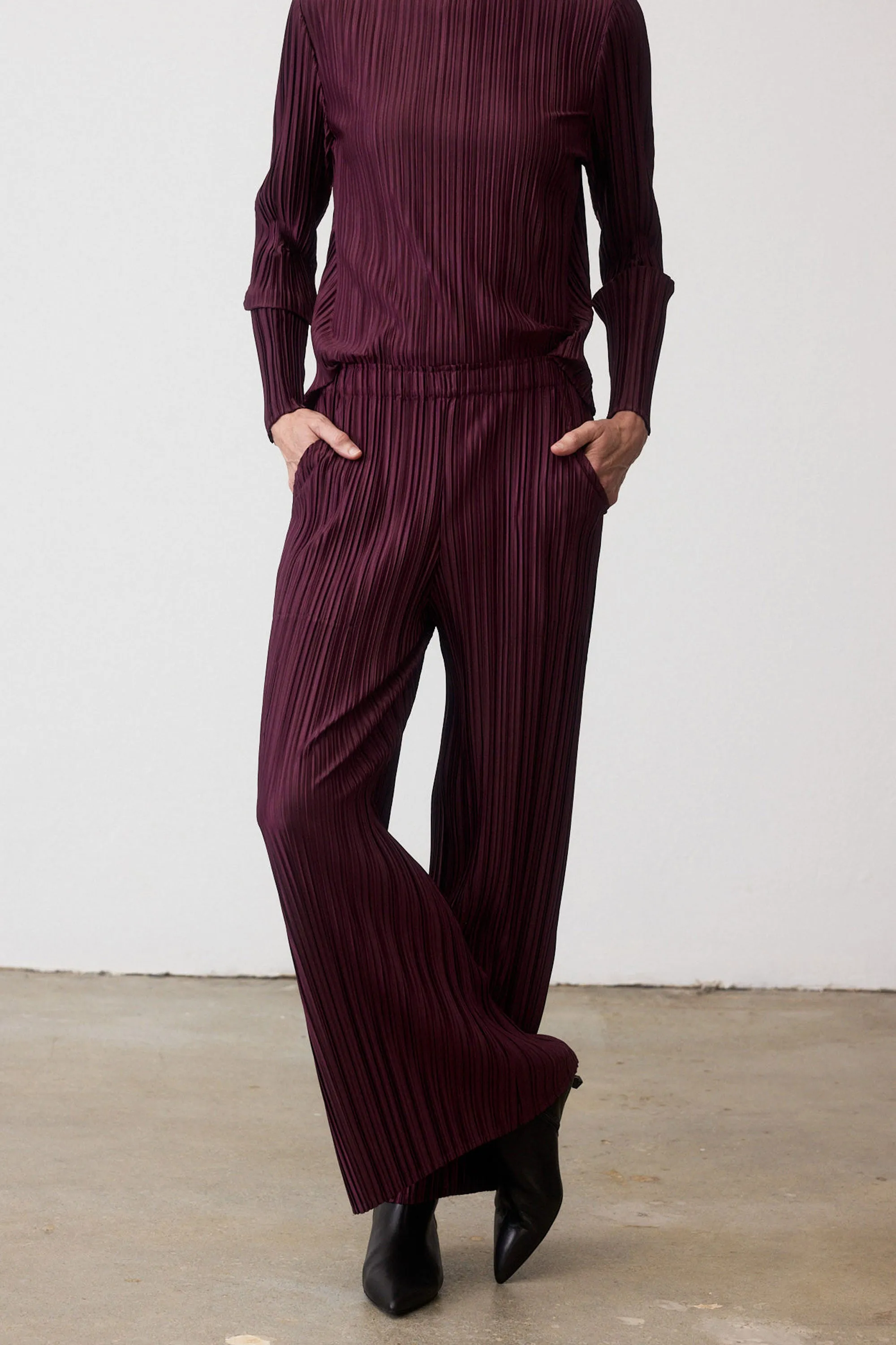Relaxed Pleated Pants