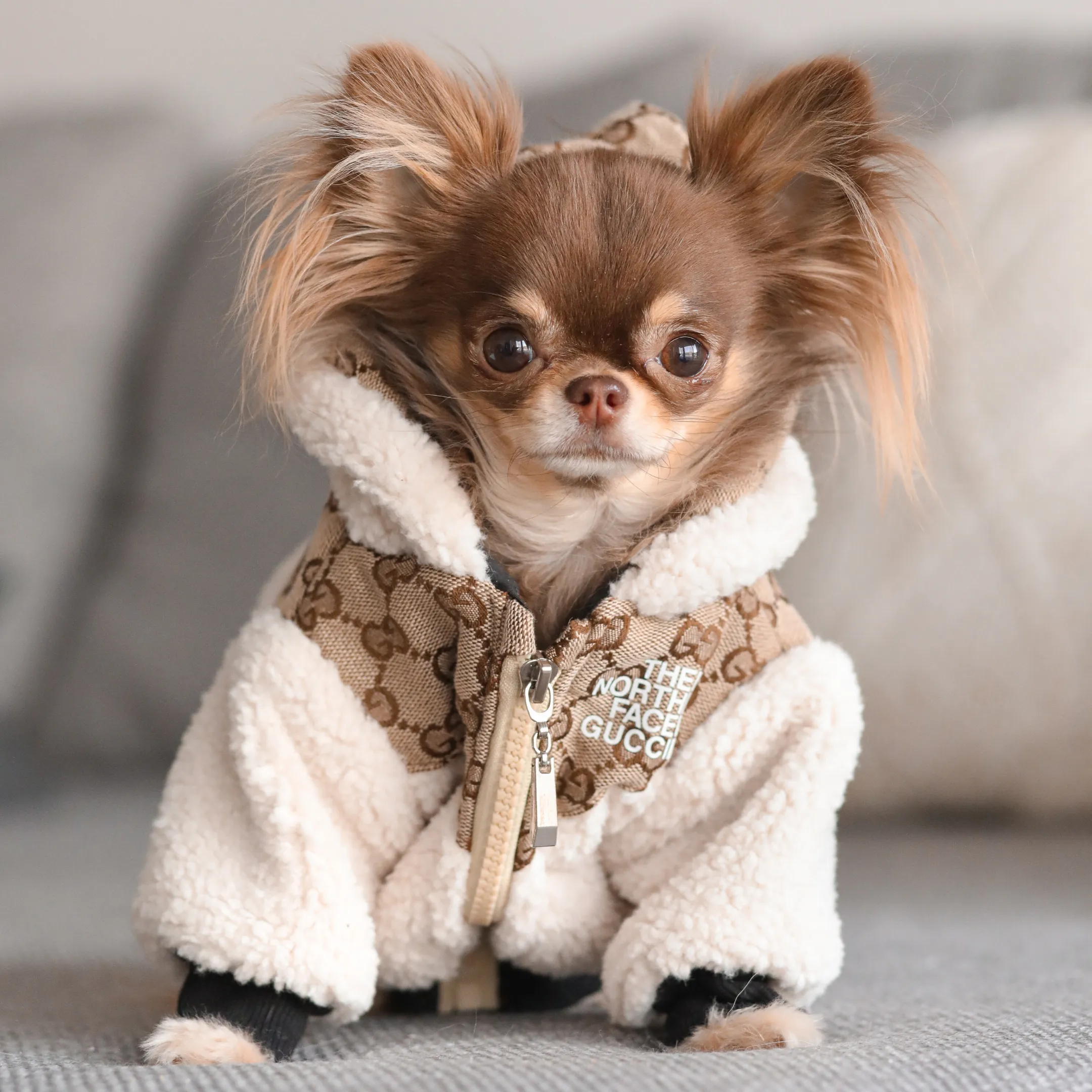 Sherpa Jacket